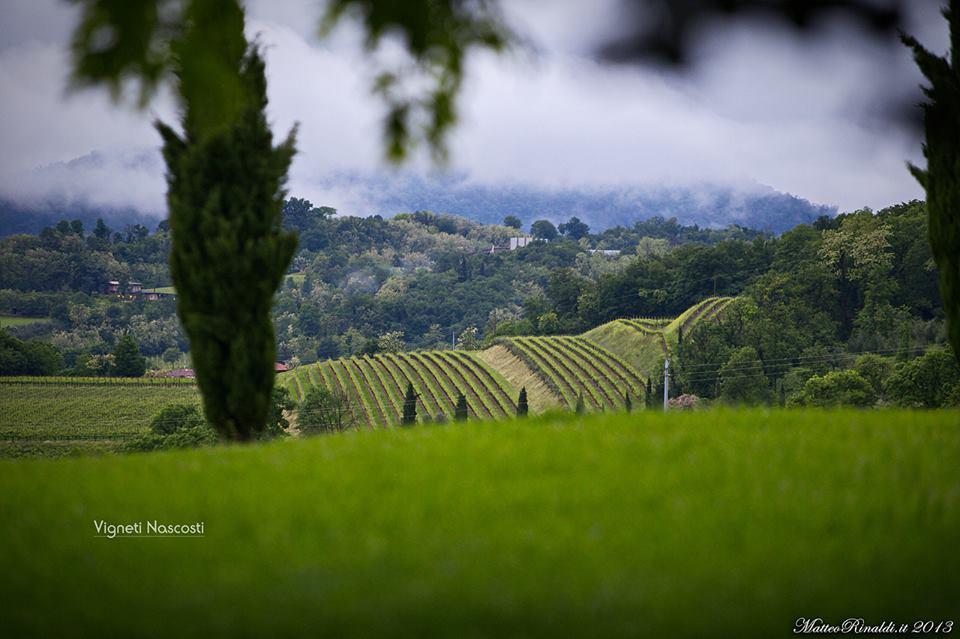 Wine & Lake In Franciacorta Passirano Ngoại thất bức ảnh