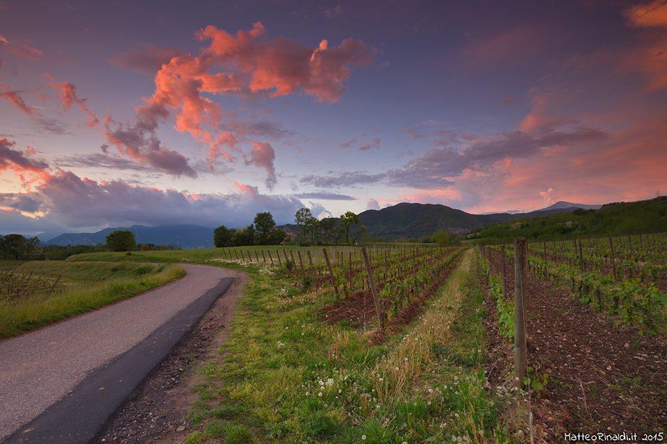 Wine & Lake In Franciacorta Passirano Ngoại thất bức ảnh