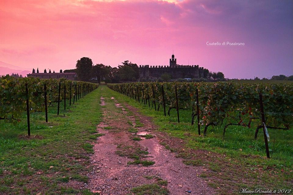 Wine & Lake In Franciacorta Passirano Ngoại thất bức ảnh